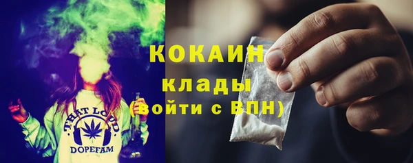 дурь Гусиноозёрск
