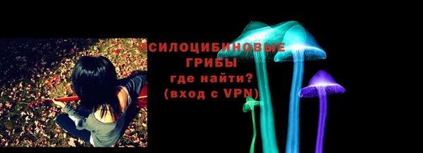 метадон Гусев