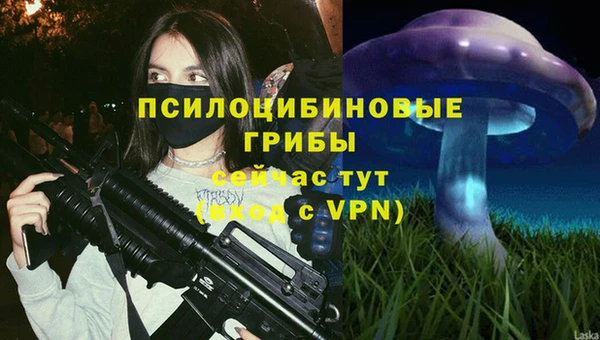 бошки Горнозаводск