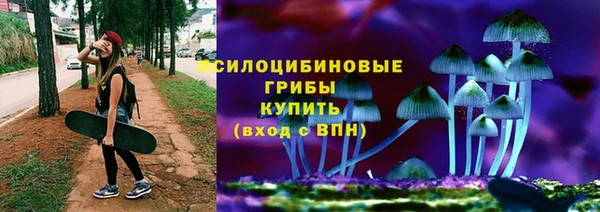 дурь Гусиноозёрск