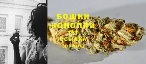 дурь Гусиноозёрск