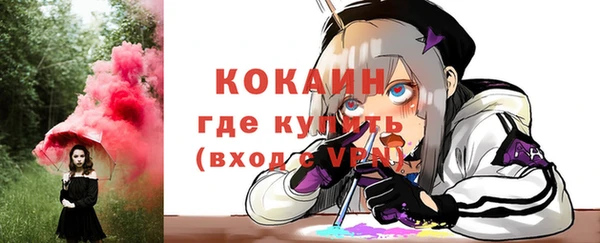 соль ск Гусь-Хрустальный