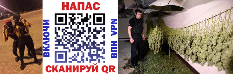 Бошки Шишки семена  Задонск 